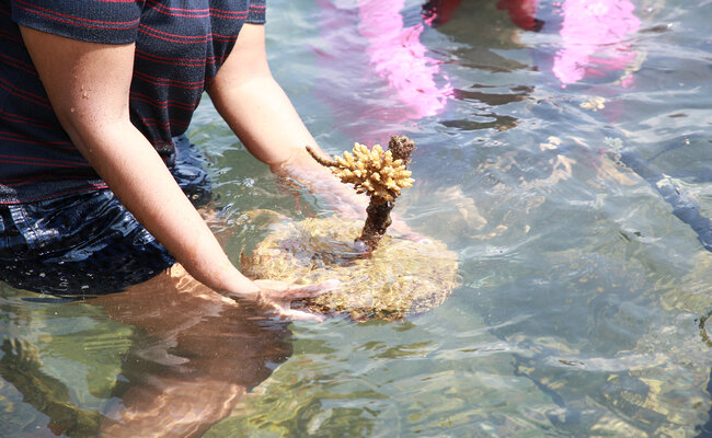 ඩීමෝ Life to Reef කොරල් රෝපණ හා සංරක්ෂණ ව්‍යාපෘතියේ සිව්වැනි අදියර රූමස්සලදී සාර්ථකව අවසන් වේ