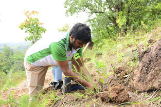 Hemas Consumer partners Rainforest Protectors Sri Lanka to plant 15,000 trees in reforestation initiative