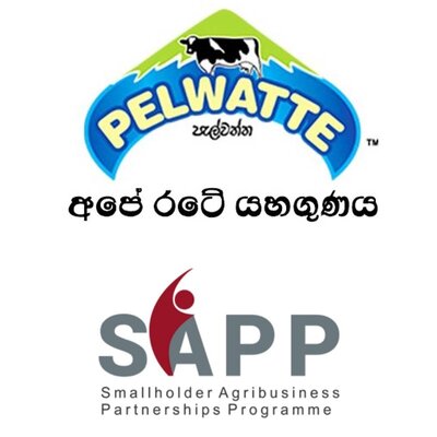 SAPP ව්‍යාපෘතිය හරහා, පැල්වත්ත කිරි සමාගම යටතේ, කිරි ගොවි ප්‍රජාවට මූල්‍යාධාර, නිසි පුහුණුව හා ප්‍රදානයන් ලබාදීම.