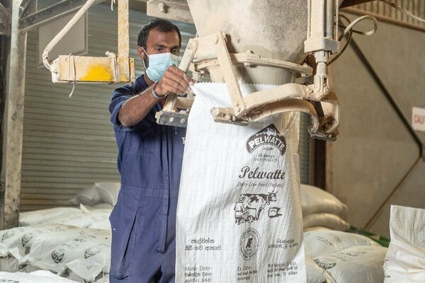 How Pelwatte makes own animal feed to formulate its creamy rich dairy portfolio