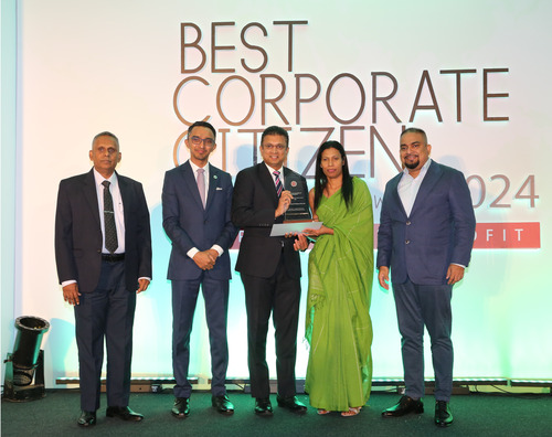 Link Natural honoured at Best Corporate Citizen Sustainability Award 2024