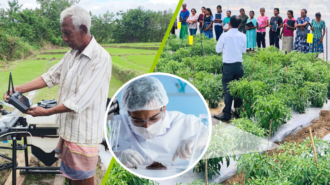 DIMO Agribusinesses Elevates Farmers into Agripreneurs
