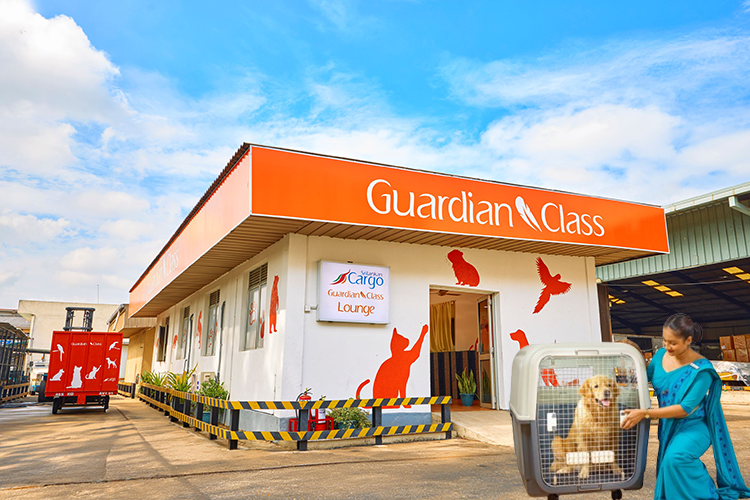 SriLankan Cargo Secures Another South Asian First with IATA CEIV Live Animals Certification