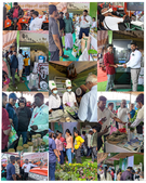 2026 யாழ்ப்பாண சர்வதேச வர்த்தகக் கண்காட்சியில்நவீன விவசாயத் தொழில்நுட்பங்களை காட்சிப்படுத்திய Hayleys Agriculture