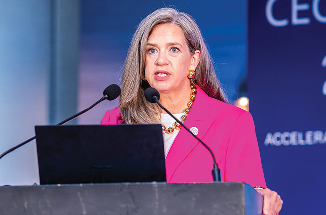 “Govt’s efforts to strengthen investment climate critical for private capital”