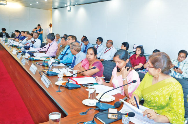 Sri Lanka, Japan strengthen investment dialogue through business environment committee
